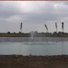 laguna_ornamental_cd_victoria_8
