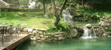 Lagunas ornamentales
